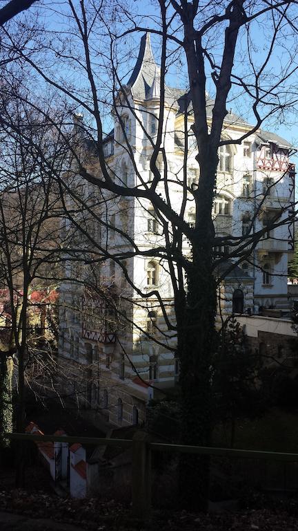 Villa Sofia Apartments Karlovy Vary Exterior foto